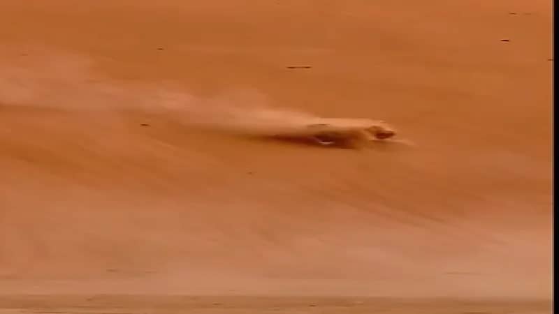 بالفيديو.. انقلاب مركبة لشاب سعودي 14مرة خلال تجارب الاستعداد لمهرجان " ليوا"