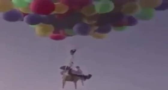 بالفيديو.. ربطوا والدهم مع البالونات احتفالًا به فوجوده على جبال عمان