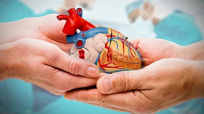 بعد الموافقة عليه.. أبرز أهداف نظام التبرع بالأعضاء البشرية