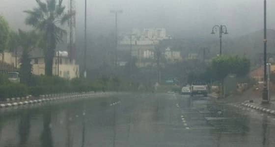 مدني الباحة ينبه من هطول أمطار رعدية على الباحة