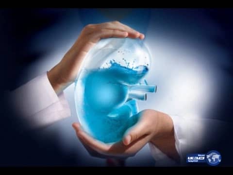 الأرصاد: أمطار رعدية ممطرة مسبوقة برياح سطحية على عدد من المناطق