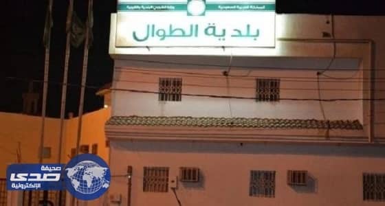 بلدية الطوال تنتهي من إنارة الشوارع وصيانة الحدائق استعداداً لعيد الفطر