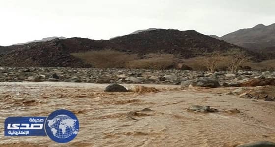 هطول أمطار على ينبع