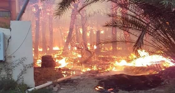 " الدفاع المدني " يُخمد حريقا في مزارع بدومة الجندل ويجري تحقيقات في الحادث