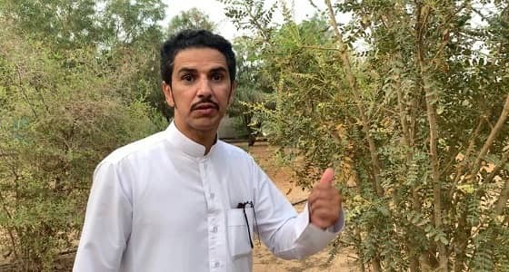مواطن ينجح في استزراع شجرة اللبان بعد إصرار 6 سنوات