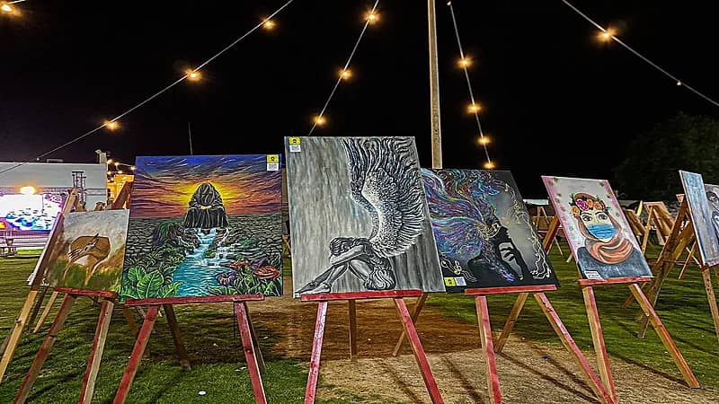 بالصور.. فن وثقافة وصحة تسطرها أنامل همسات الثقافي