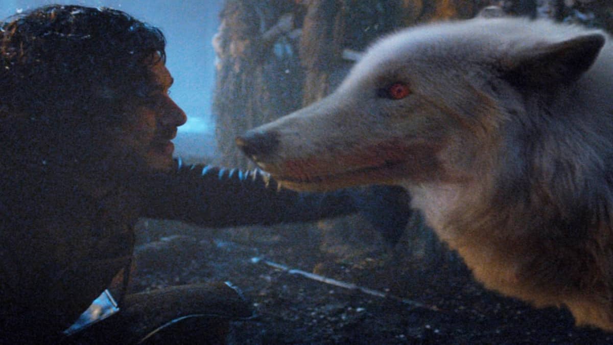 السرطان يقتل ذئب مسلسل Game Of Thrones