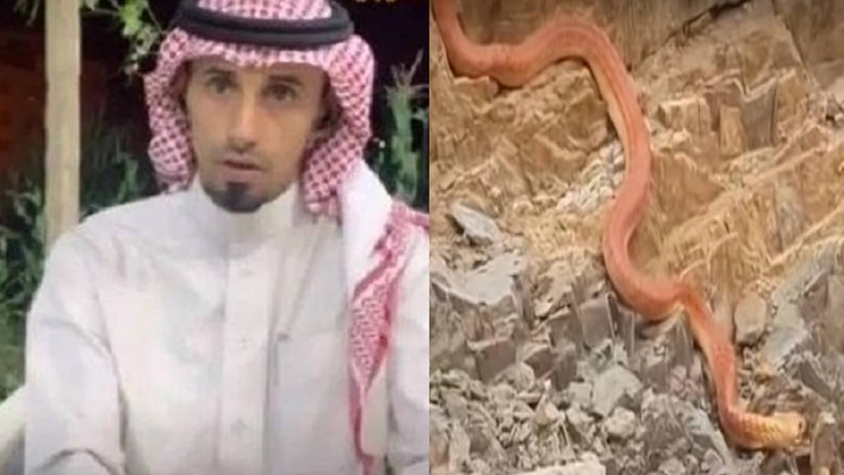 بالفيديو.. الطريقة الصحيحة للإنقاذ المصاب عند التعرض للدغة الأفعى