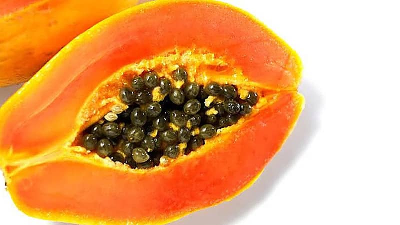 فوائد مدهشة لبذور البابايا تقي من أمراض خطيرة