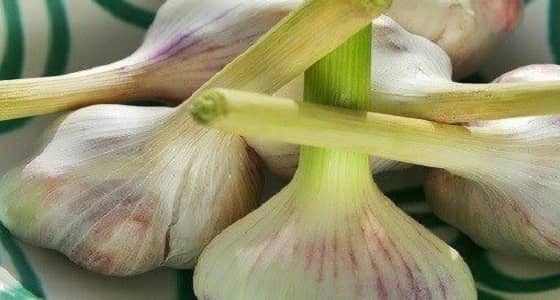 خبراء في التغذية: الثوم يحمي خلايا الكبد من التدمير