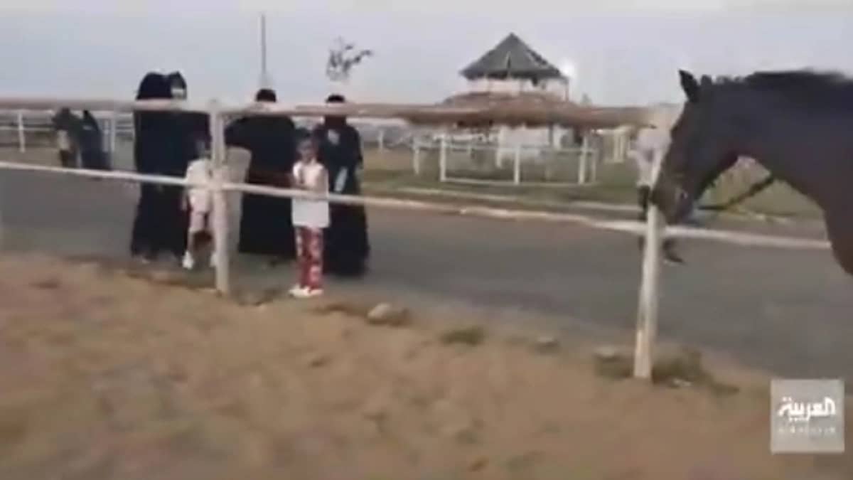بالفيديو.. مواطنات يتدربن على الفروسية في جازان