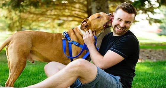 أصيب بغرغرينا.. لعقة كلب تقتل صاحبه