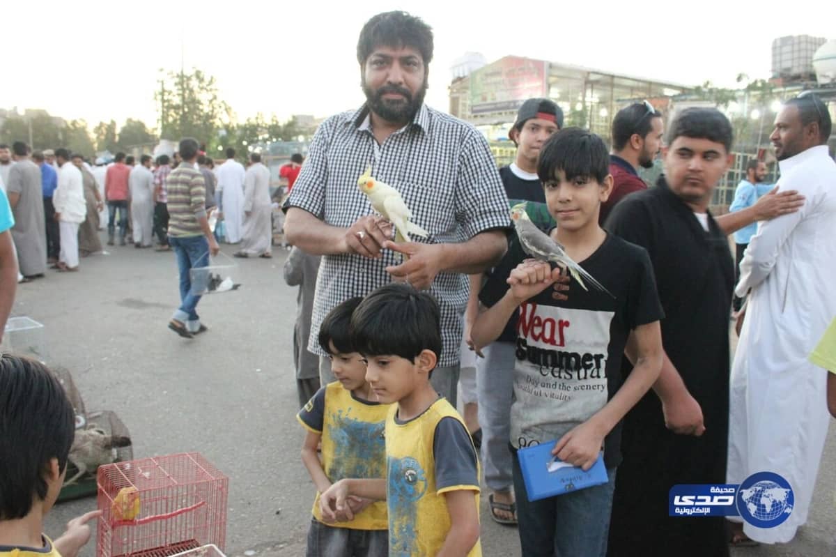 سرقة أجزاء من سيارة مواطن فى تبوك