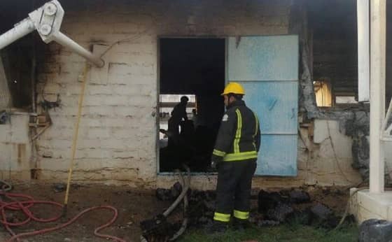 بالصور:التماس كهربائي في مزرعة يؤدي إلى نفوق 1350 دجاجة بالطائف