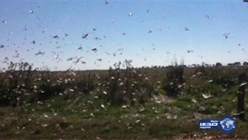 التحالف يعترض صاروخ حوثي تم إطلاقه تجاه الشقيق