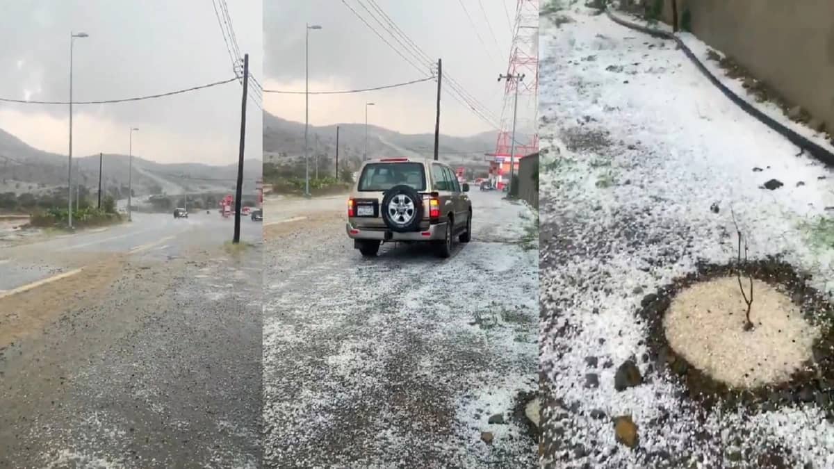 بالفيديو.. بريدة الوادي الطالع في عسير