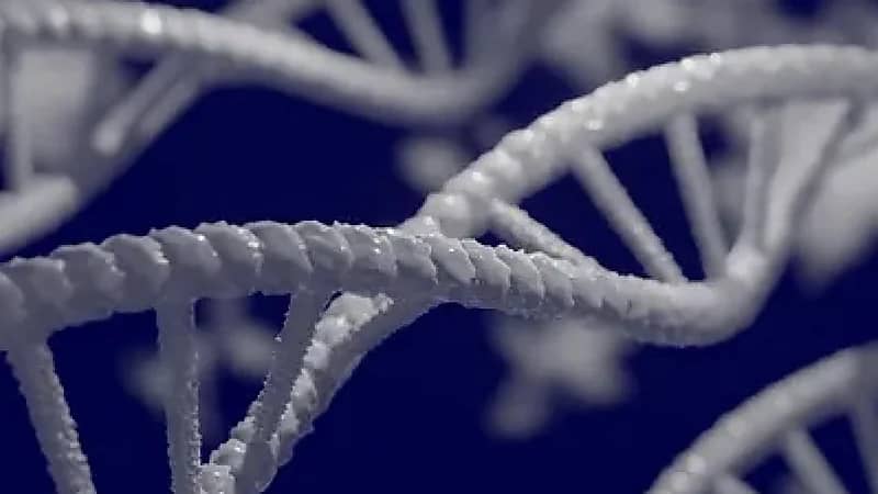 كوريا الجنوبية تسجل أول إصابة بالأميبا الآكلة للدماغ