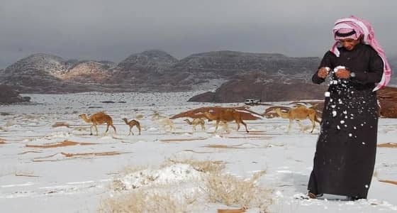 بالفيديو..حفر الباطن تتجمد في درجة حرارة 2 تحت الصفر