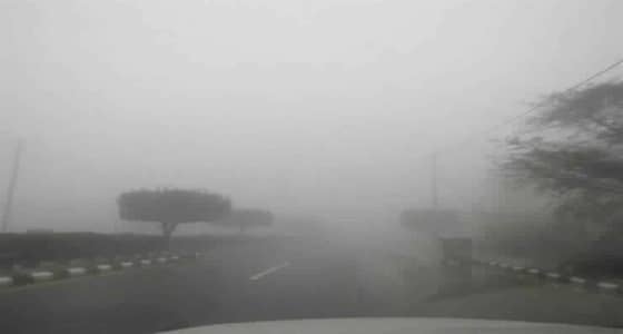 تحذير من ضباب وتدني الرؤية على الطائف