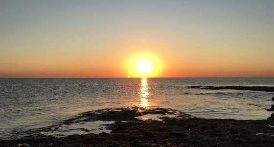 " المسند " : اليوم تغرب الشمس ولن تشرق إلا بعد 53 يوما