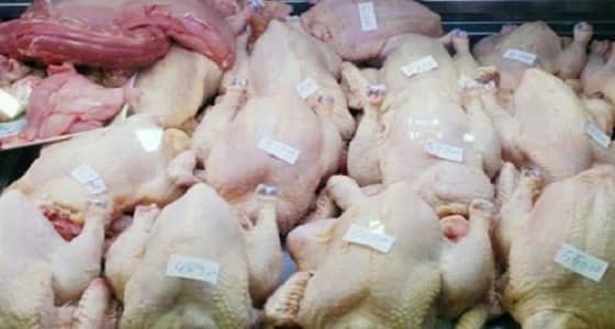 الكويت: حظر استيراد الطيور من المملكة