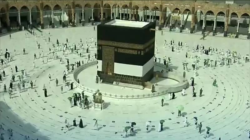  بالفيديو.. تحديد عدة أبواب لدخول الحجاج لصحن المطاف