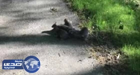 ارتفاع هامشي لأسعار النفط لكنها تتجه لتسجيل خسائر أسبوعية