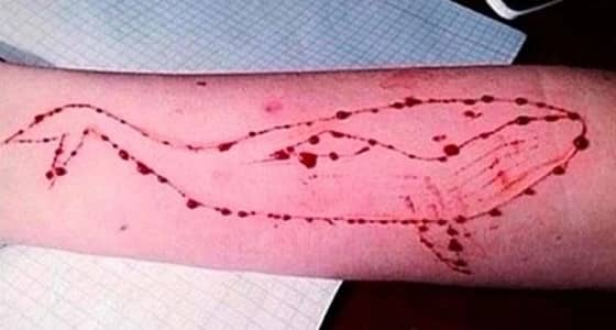 الحوت الأزرق وراء انتحار طفل الجبيل