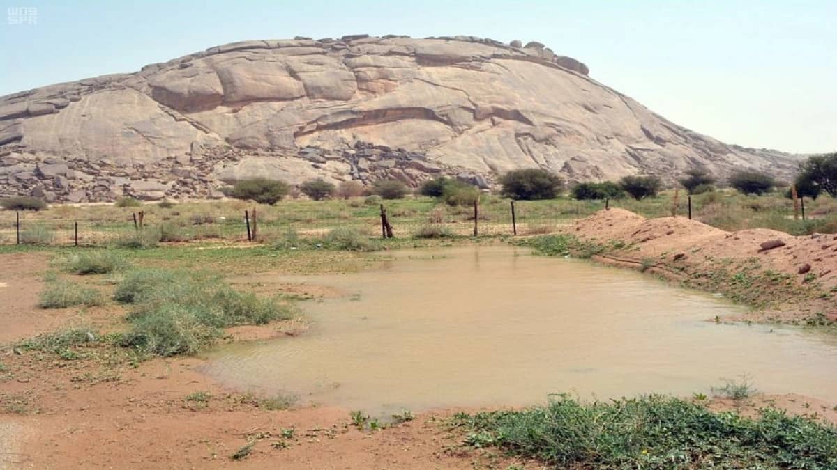 بالفيديو.. أمطار غزيرة تتساقط على جبال أمرة