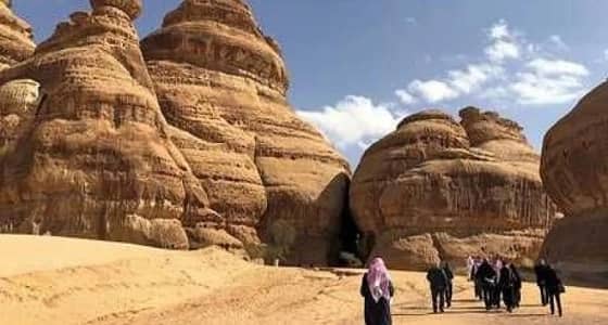 توجه للسماح للأمريكيين والأوروبيين بدخول المملكة للسياحة دون تأشيرة