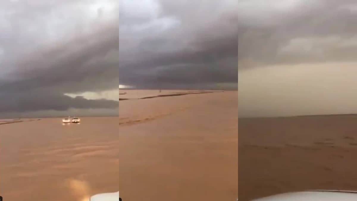 بالفيديو.. جريان السيول بكثافة في المجمعة