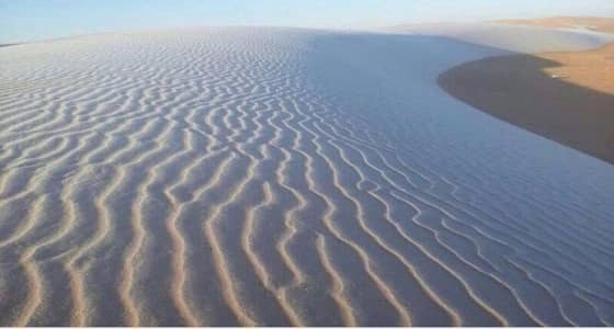 الحصيني: متوقع أقوى موجة برد على هذه المناطق