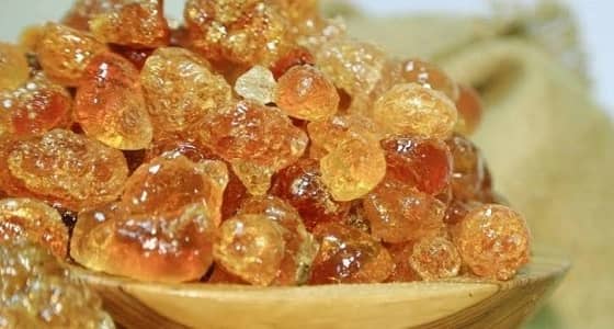 طبيب يخرج عن صمته ويكشف حقيقة العلاج بالصمغ العربي