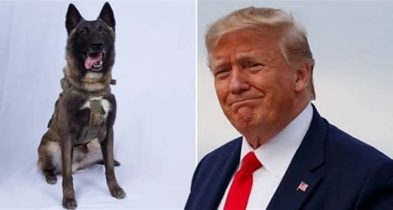 ترامب يقارن نفسه بالكلب المشارك في عملية قتل البغدادي ويبدي غضبه من الإعلام