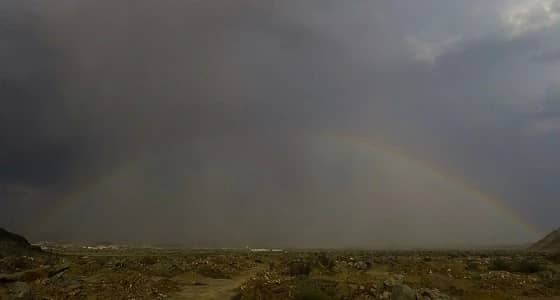 شاهد.. قوس قزح يتألق في سماء الشرائع