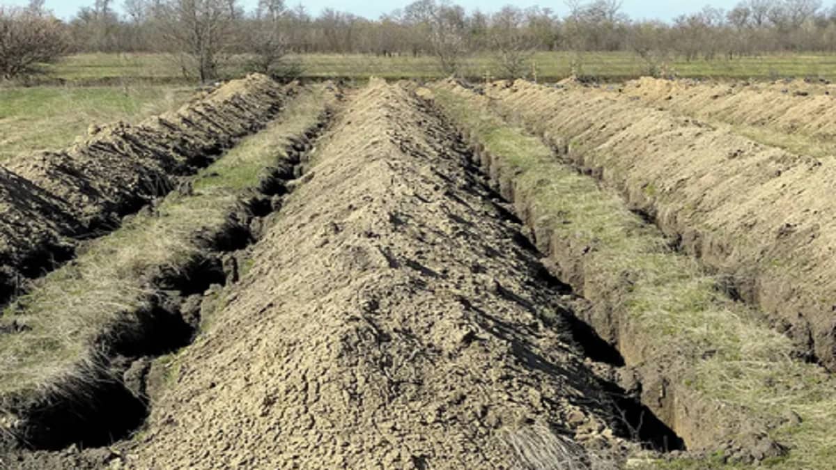 مدينة تلجأ لطريقة غريبة لإلزام مواطنيها على البقاء في المنزل