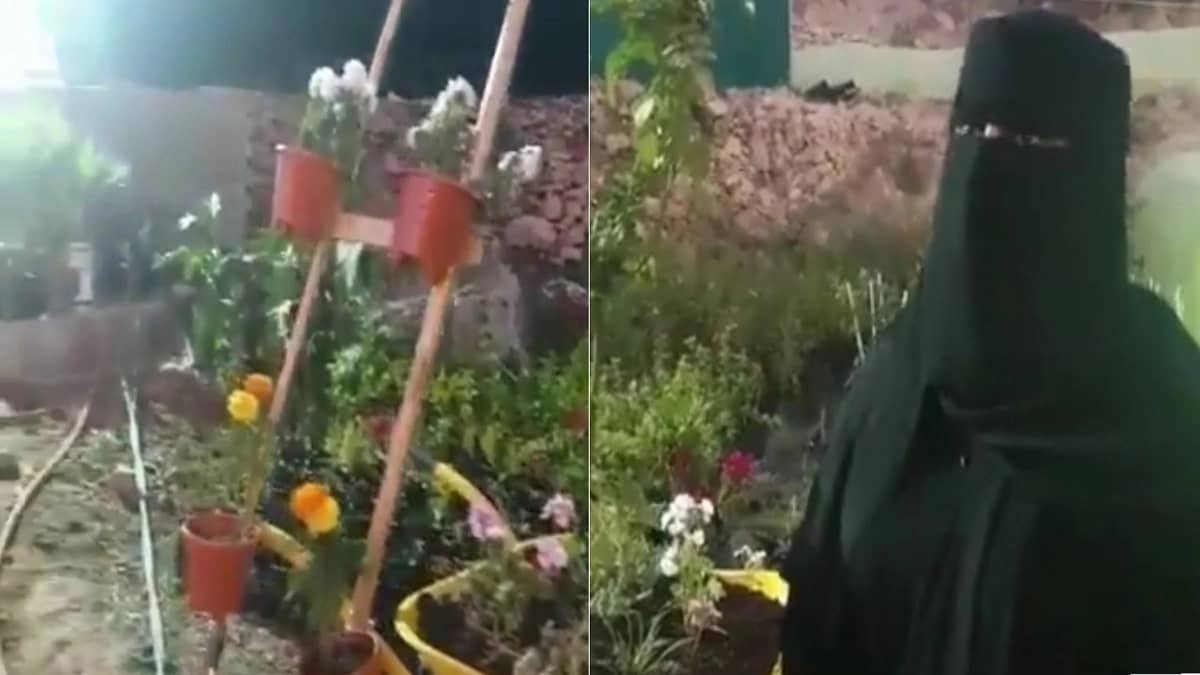 بالفيديو.. مواطنة حاصلة على مؤهلات عليا لم تجد وظيفة فذهبت للزراعة بالباحة