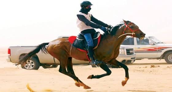 " فريق الحلم السيء " يخترق موقع اتحاد الفروسية ويوجه رسالة من 4 نقاط