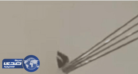 إحالة مصور مقطع اختراق أسلاك الكهرباء لنافذة مواطن بمحايل عسير للتحقيق