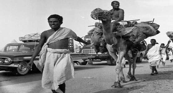 من الجمال للطيران.. مراحل تطور رحلة الحج من مختلف بقاع الأرض