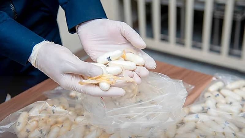 إحباط تهريب "الكوكايين" في مطار الملك فهد الدولي بالدمام