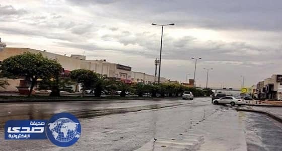 بالفيديو.. هطول أمطار خفيفة على أحياء العاصمة
