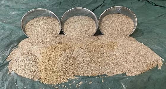 بالصور.. إحباط محاولة تهريب أكثر من 1.5 مليون قرص أمفيتامين مخدر