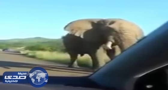 بالفيديو.. هطول أمطار غزيرة على مكة تسفر عن جريان السيول في بعض الأودية