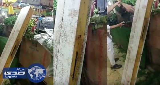 بالفيديو.. النفيعي: عبدالفتاح العسيري أهلاوياً.. والأخير يعلق