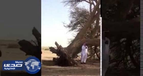 بالفيديو.. إيران ترفع الراية الحمراء للثأر لقاسم سليماني