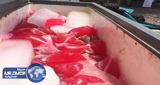 مداهمة وإغلاق أكبر مصنع سوبيا بـ«أبو عريش»