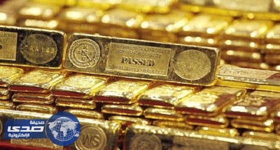 بالفيديو.. مواطنة تنقذ حياة قطة تعرضت للإختناق