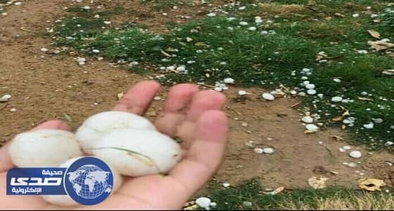 موجة ثلجية تضرب شمال بريدة