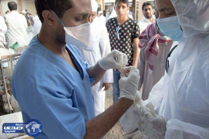 بالصور .. انطلاق حملة إرشادية بسوق الطيور للكشف المبكر عن الأمراض